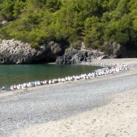 Feriehus Le Di Arconte *