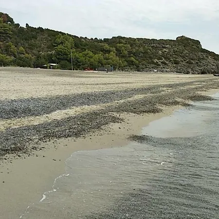 Le Di Arconte