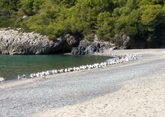 펜션 Le Di Arconte *