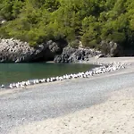 度假居 Le Di Arconte *