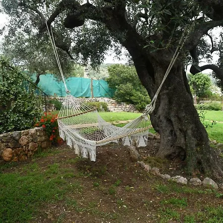 Le Di Arconte